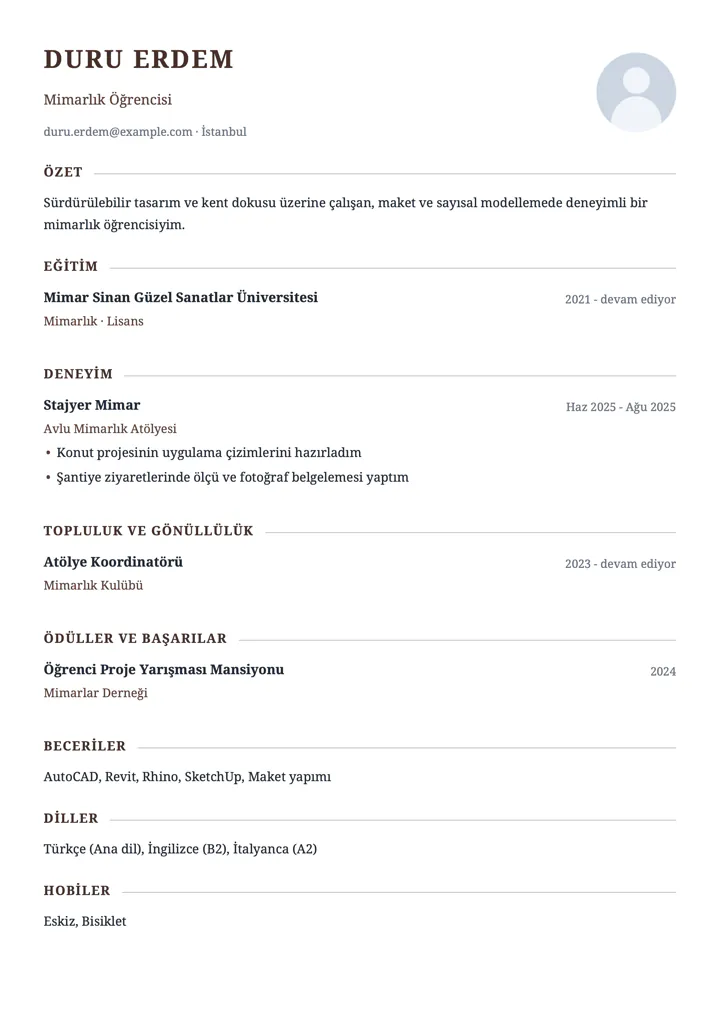 Lidya CV şablonu örneği